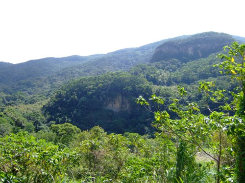 yangmingshan_130